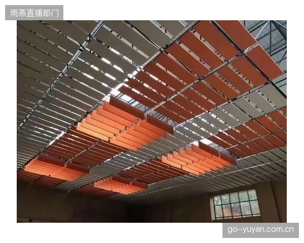 轻质化成为体育馆吊顶的刚性需求，微穿孔共聚物板正全面替代传统高密度吸声材料